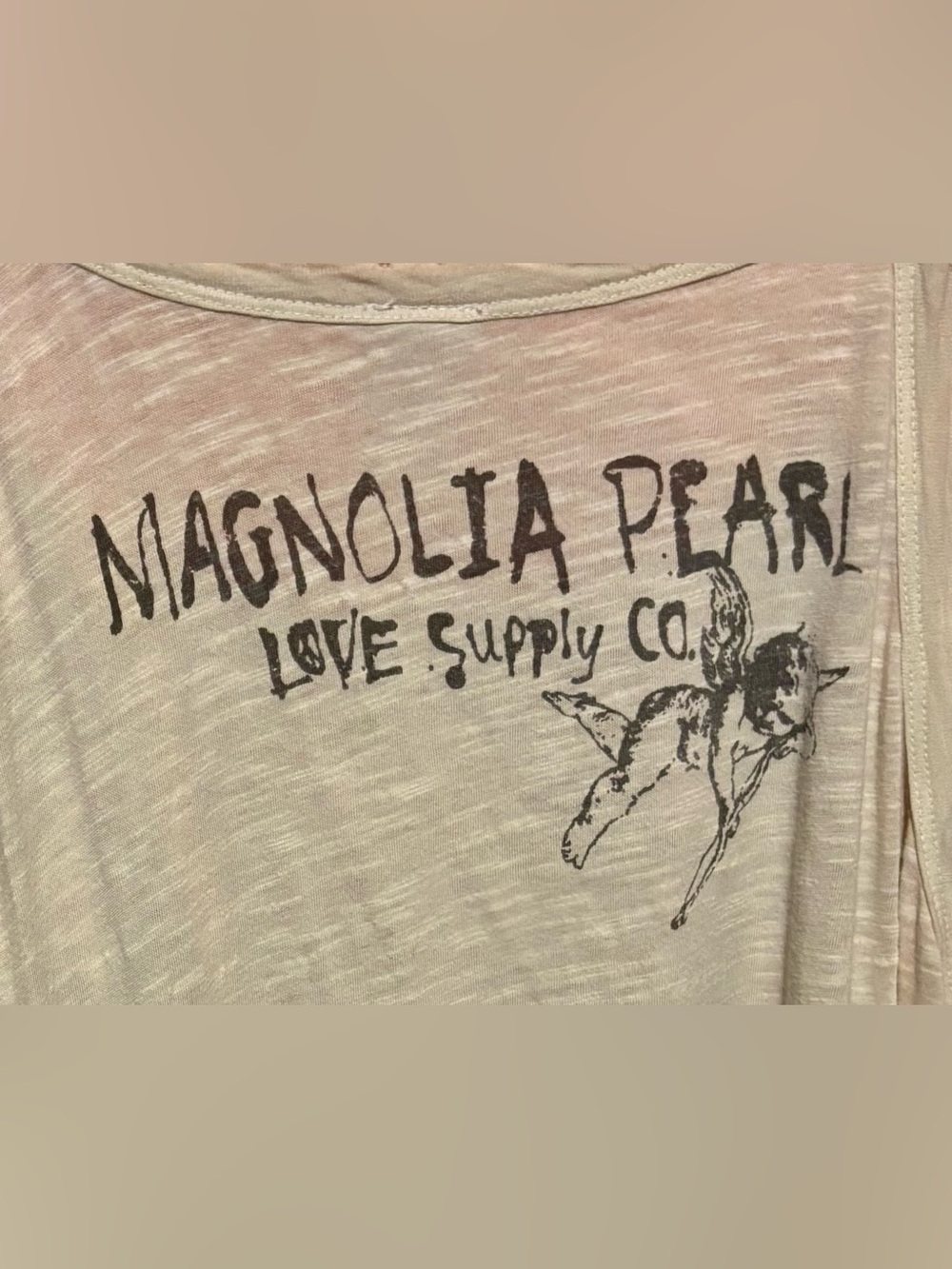 Magnolia Pearl A Line Distressed Dress With Rose, Bird and Cupid - Picture 4 of 6
